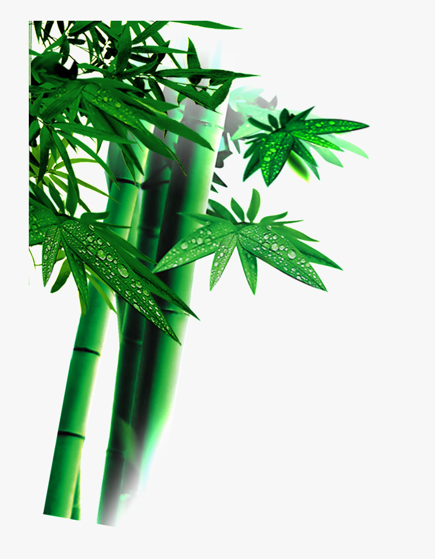 Beautiful High Definition Green Bamboo Leaves Png - Bamboo, Transparent Png