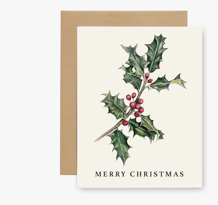 Xmas Holly - Floral Design, HD Png Download