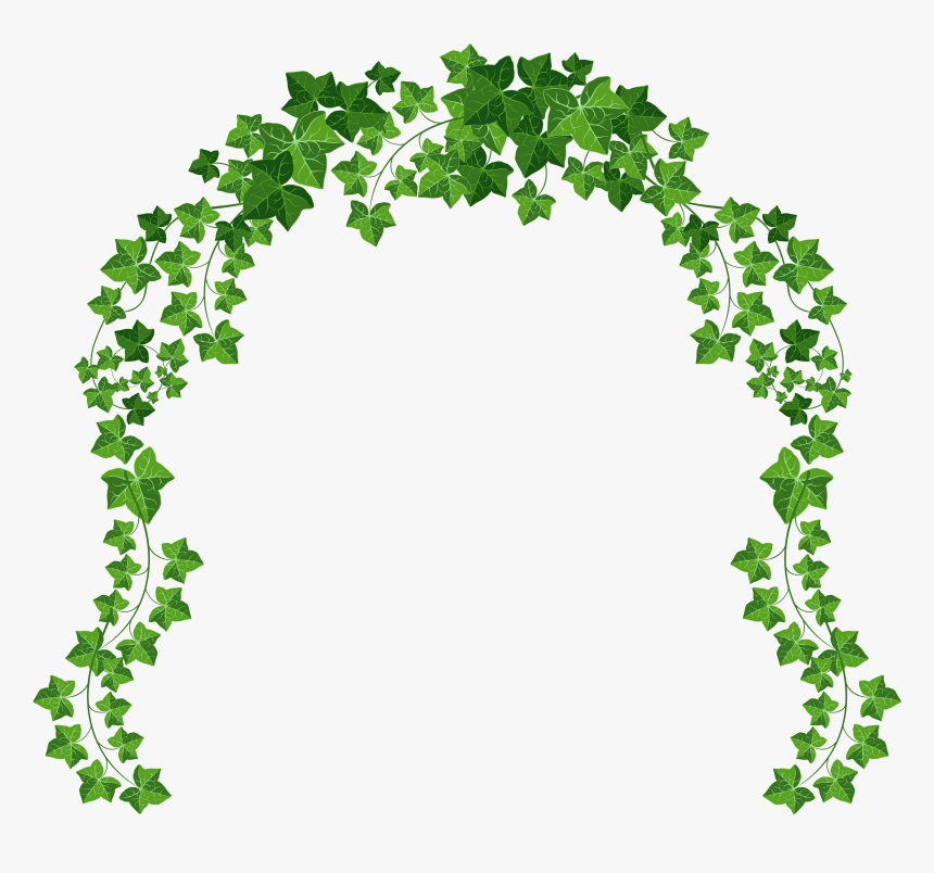 Free Vine Download Best On X Ivy - Transparent Background Vine Png, Png Download