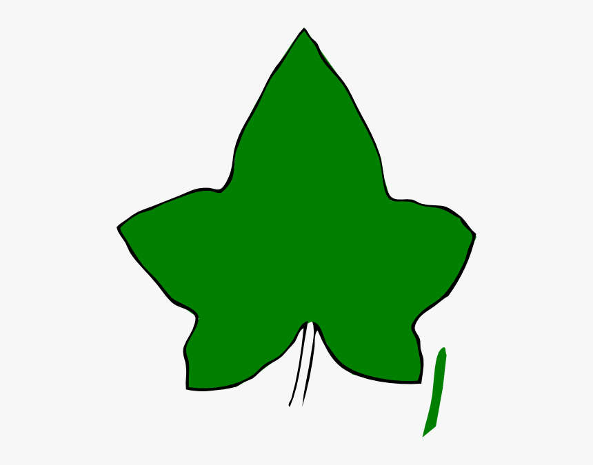 Ivy Leaf No Background, HD Png Download
