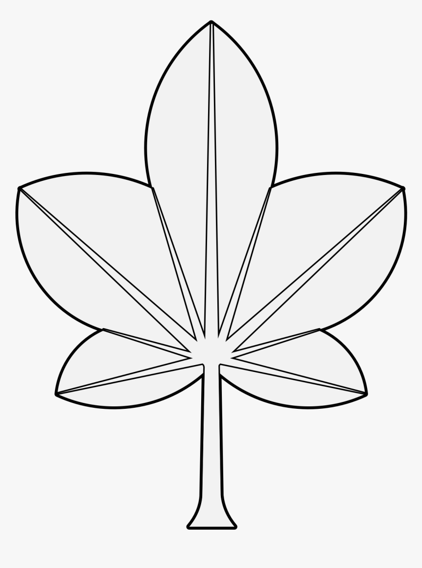 Flower, HD Png Download