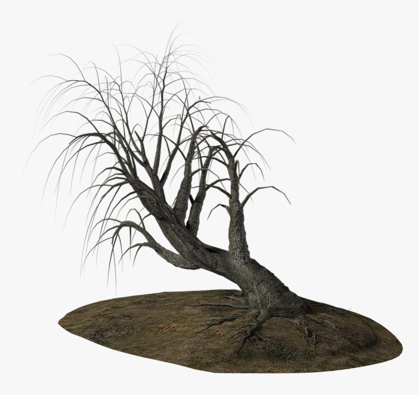 Alberi Morti Png, Transparent Png