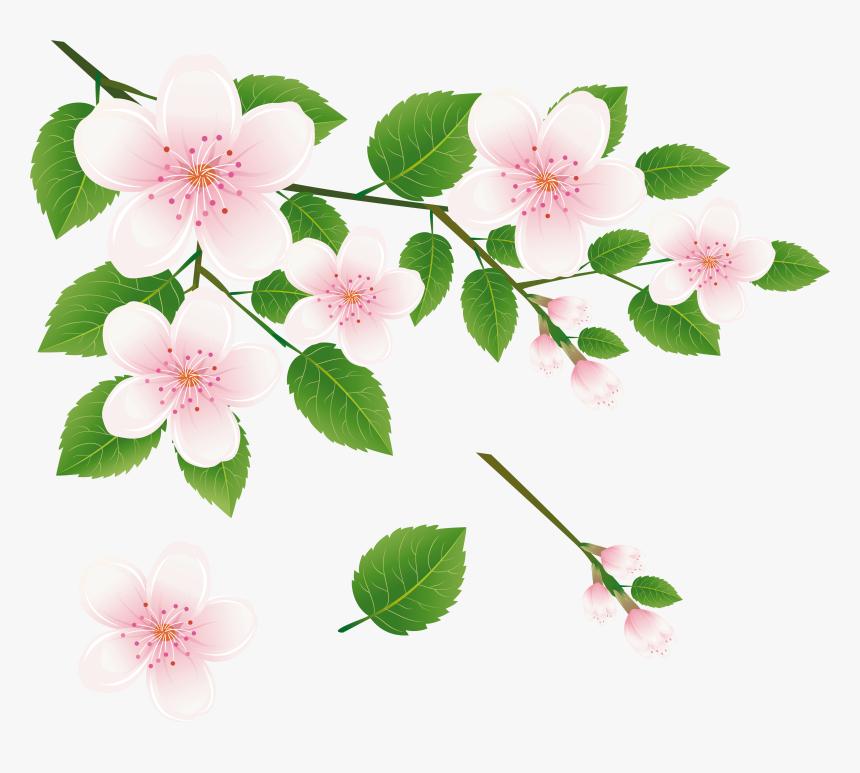 Spring Tree Branch With Flowers Png Clipart Picture - Flower Of Tree Clipart, Transparent Png
