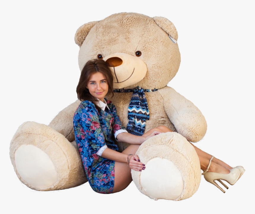 57437 - Teddy Bear, HD Png Download