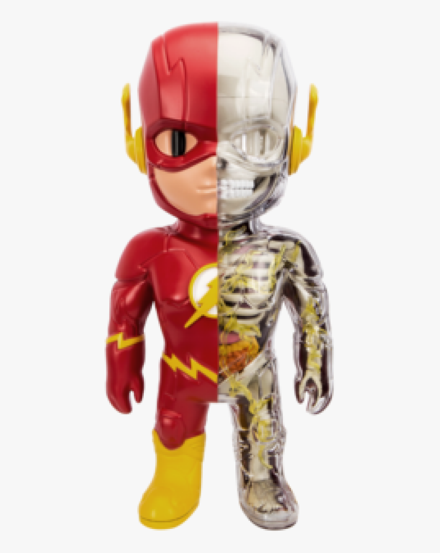 4d Xxray Flash, HD Png Download