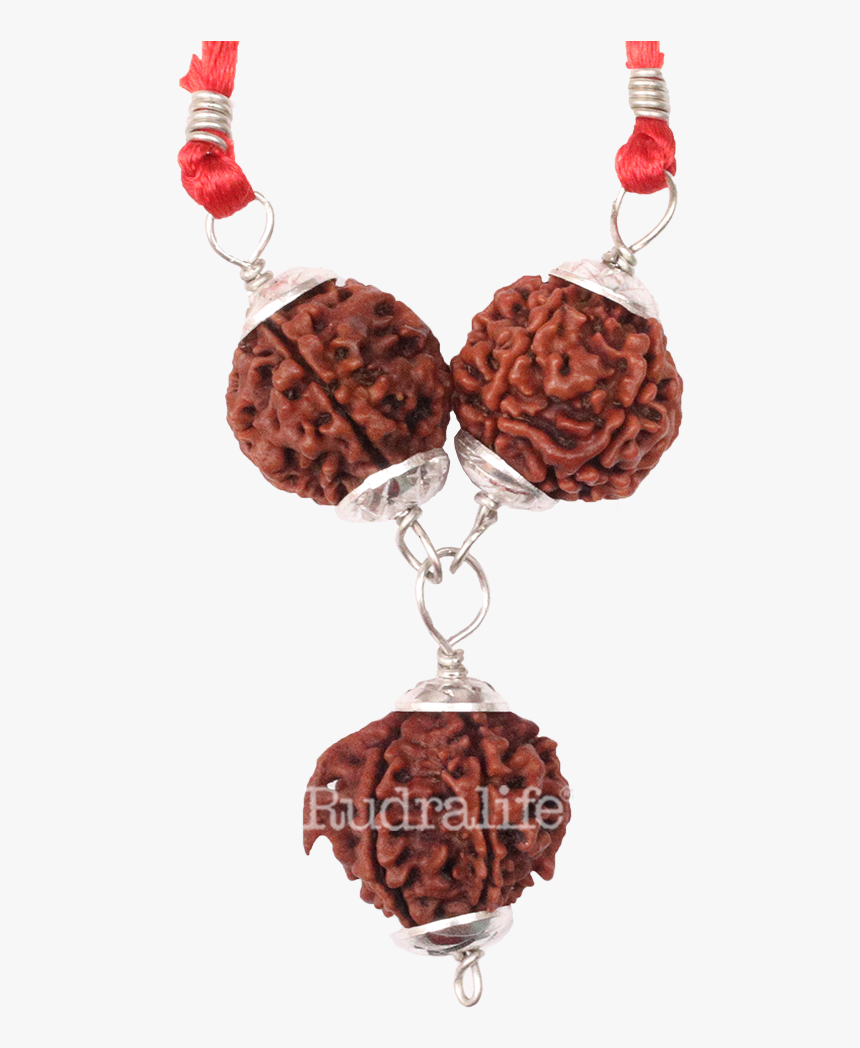 Rudraksha Saraswati Bandh B Rudraksha - Bead, HD Png Download