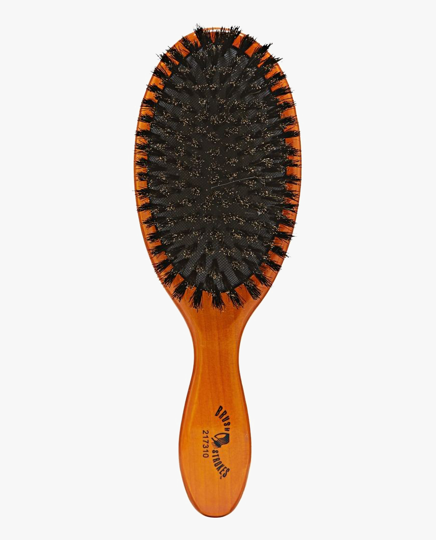 Brush Png Clipart - Bristle, Transparent Png