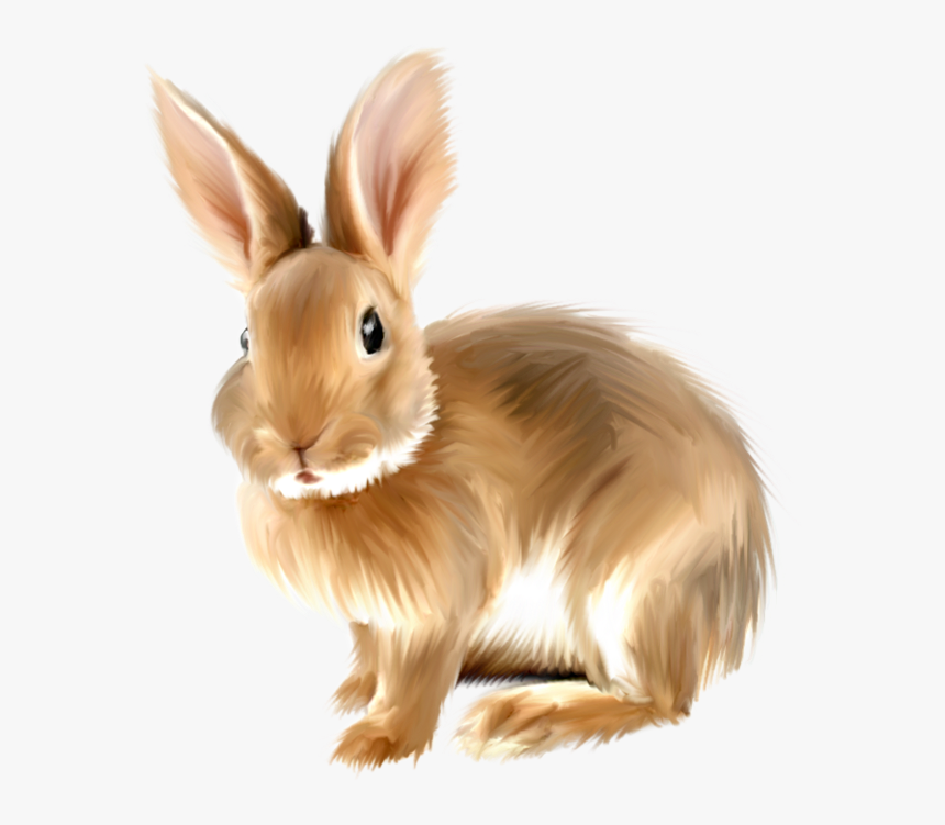 Rabbit Clipart Png, Transparent Png