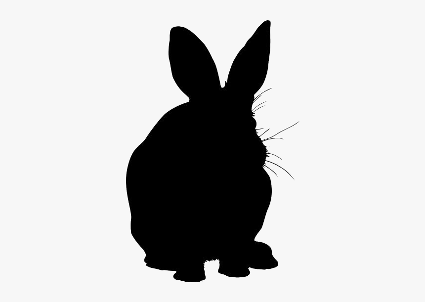 Bunny Png Transparent Images - Domestic Rabbit, Png Download