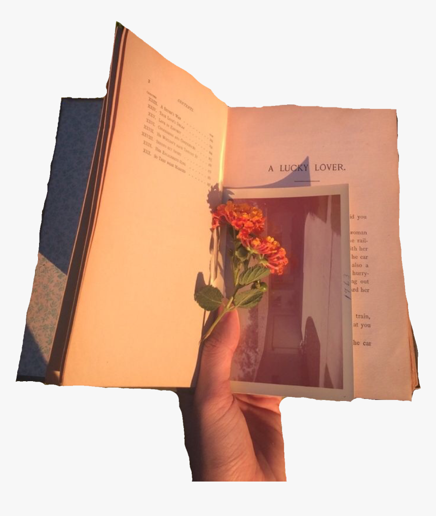 Art Hoe Aesthetic Pngs, Transparent Png