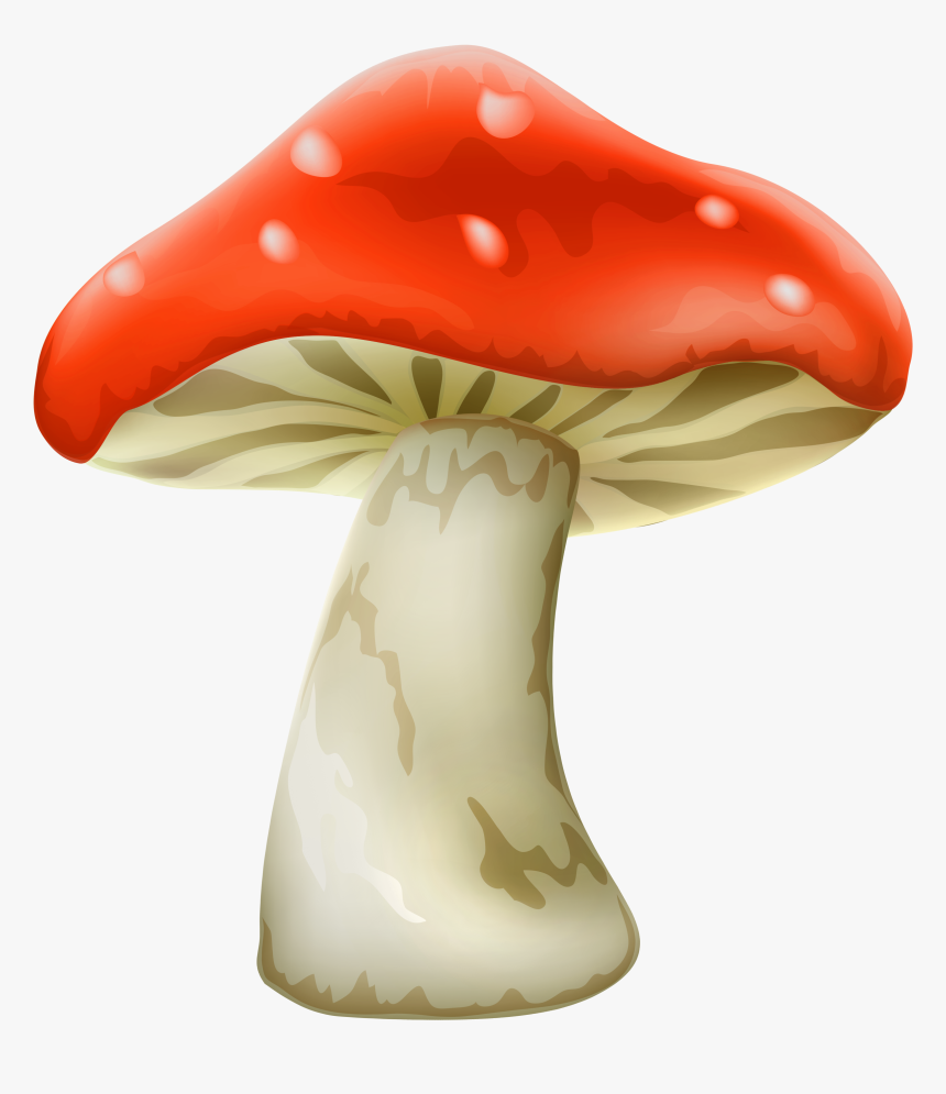 Red Mushroom With White Dots Png Clipart - Red Mushroom Png, Transparent Png