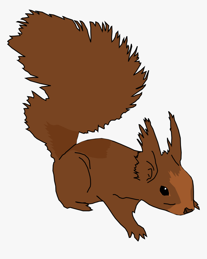 Medium Image Png - Squirrel Clip Art, Transparent Png