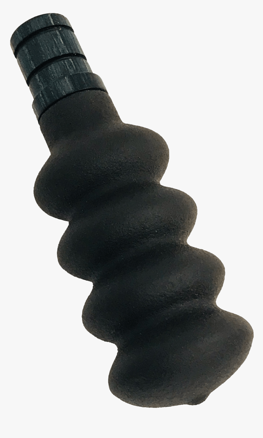Squirrel Png, Transparent Png