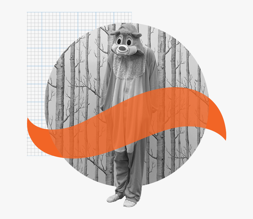 About Squirrel - Illustration, HD Png Download