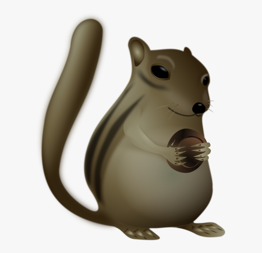 Squirrel, Wildlife, Animal, Cute, Brown - สัตว์ ป่า น่า รัก Png, Transparent Png