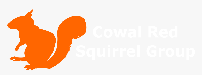 Marten Clipart Friend - Squirrel Png Logo, Transparent Png