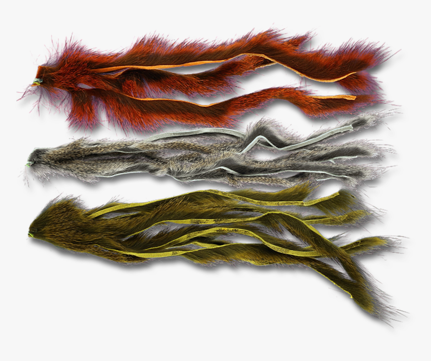 Pine Squirrel Zonker Strips - Flatworm, HD Png Download