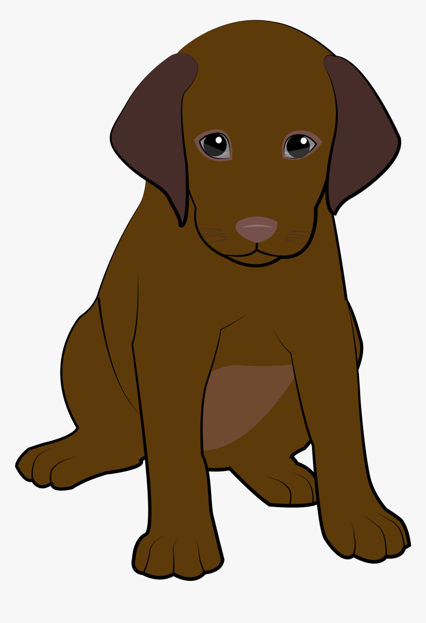 6 Chocolate Puppy Labrador Retriever, HD Png Download , Transparent