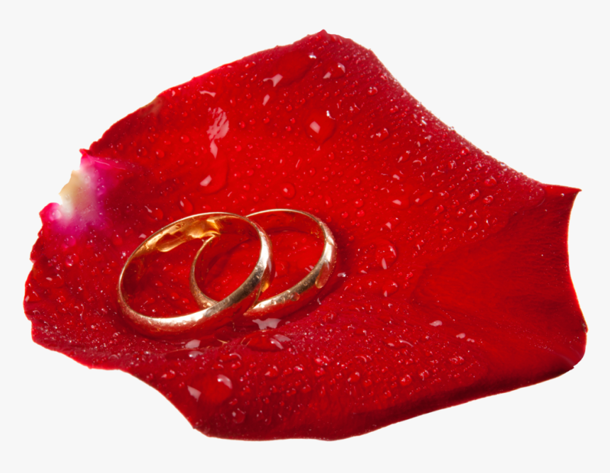 Download Wedding Rings In Rose Petal Clipart Png Photo - Portable Network Graphics, Transparent Png