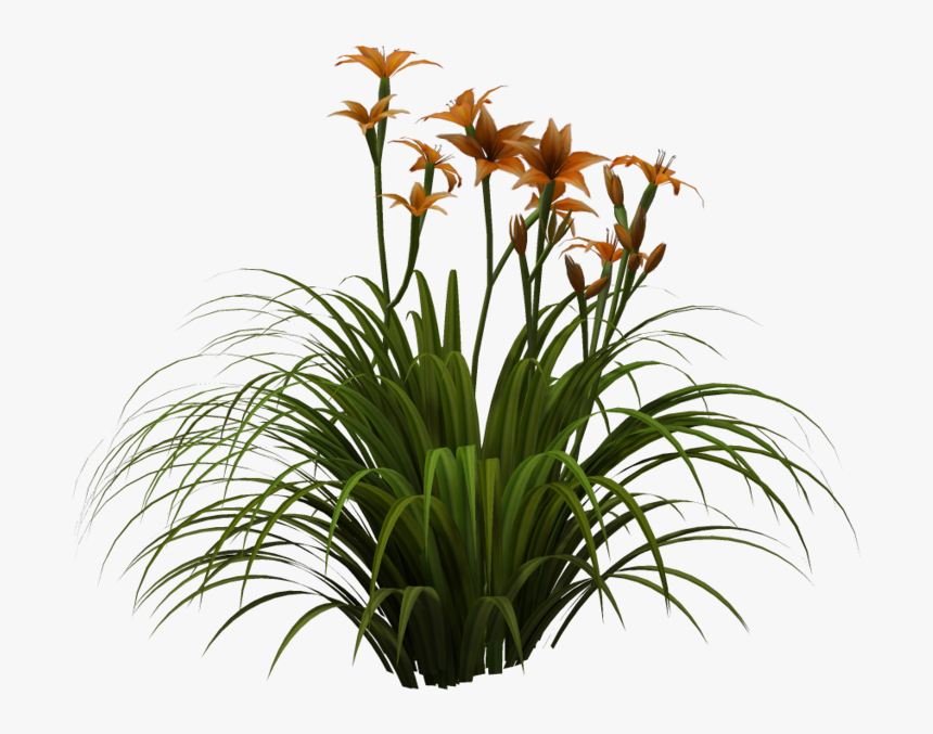 Free Tall Grass Png - Png Tall Grass, Transparent Png