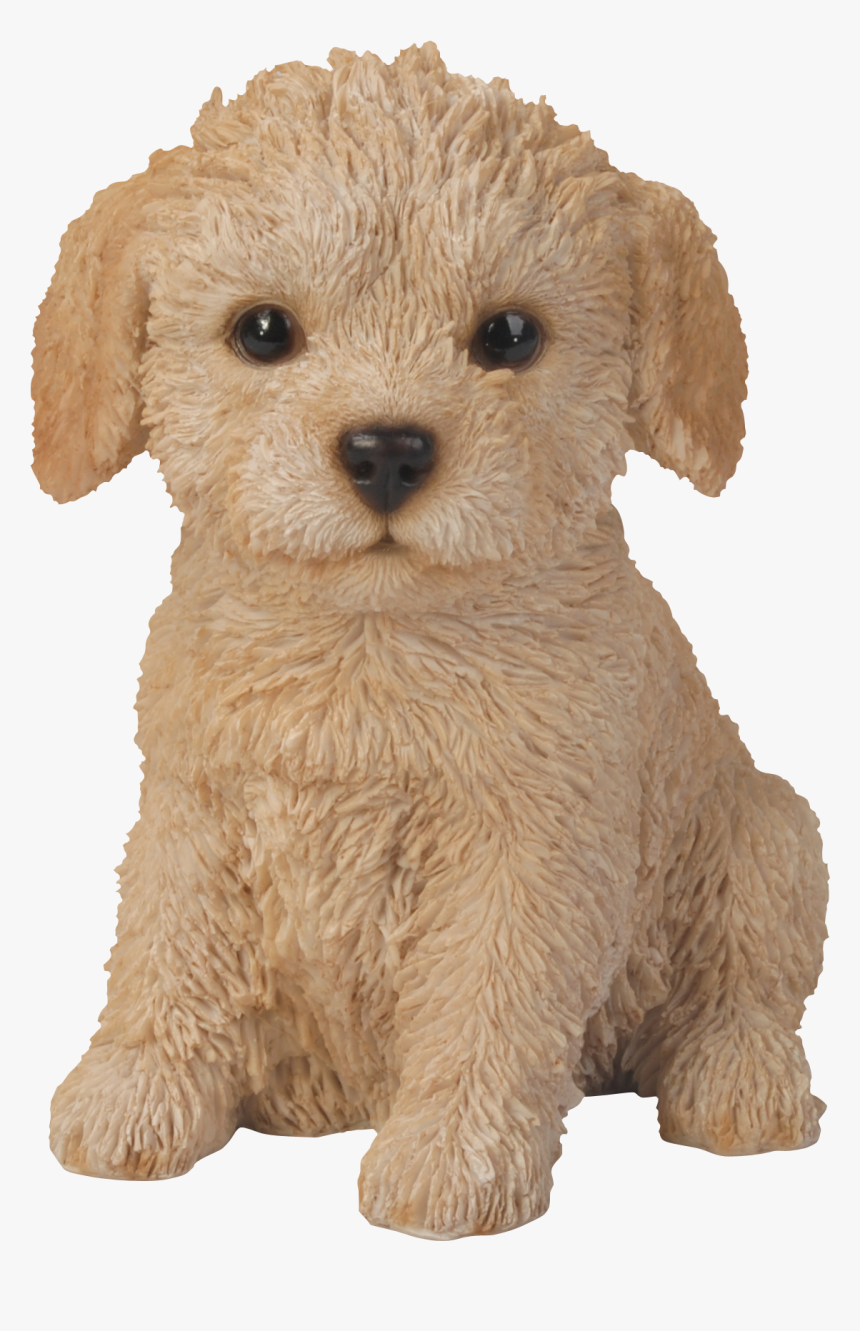 Puppy Poodle Png, Transparent Png