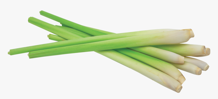 Transparent Lemongrass Clipart - Lemon Grass Png, Png Download