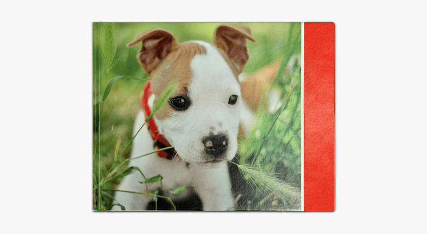 Deluxe Journal - Puppy - American Staffordshire Terrier, HD Png Download