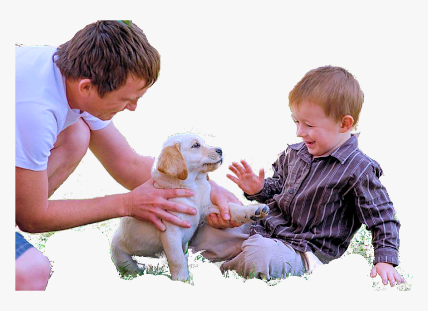 Toddler, HD Png Download