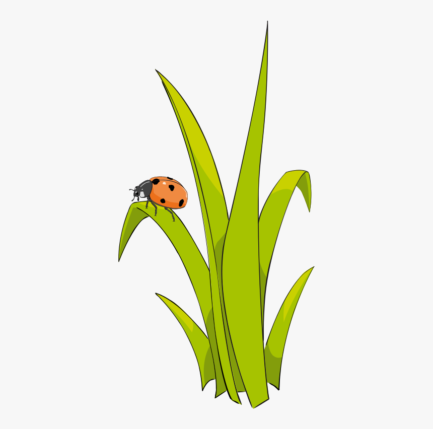 Grass Clip Art Free Clipart Images - Cute Clipart Of Grass, HD Png Download