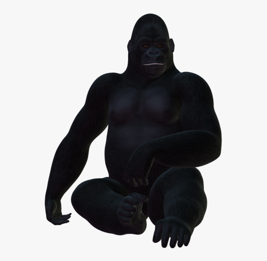 Common Chimpanzee, HD Png Download