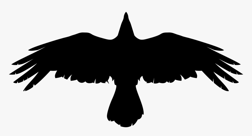 Download Crow Png Picture - Valknut Raven Norse Souls, Transparent Png