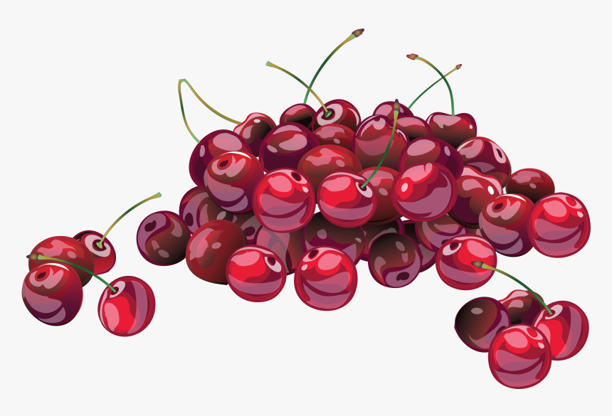 Red Cherry Png Image, Free Download - Cherries Illustration, Transparent Png
