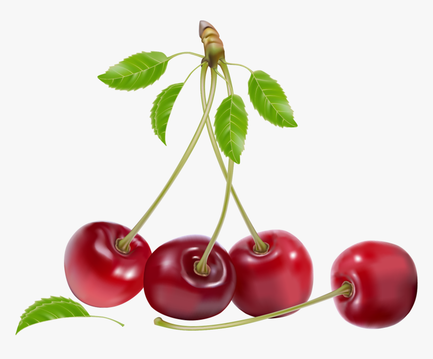 Cherries Png Clipart - Cherries Png, Transparent Png