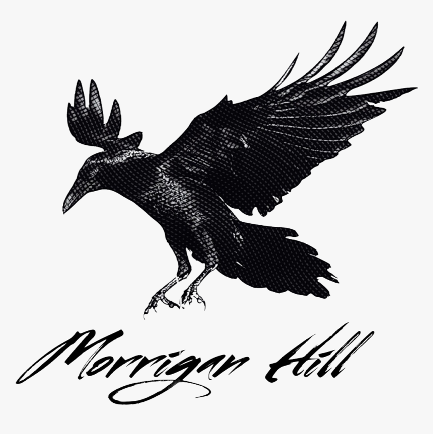 Transparent Crow Png - Crow Landing, Png Download