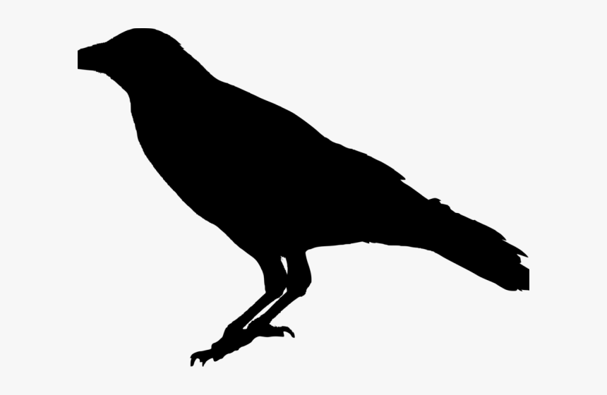 Crow Png Transparent Images - Silhouette Crow Transparent Background, Png Download