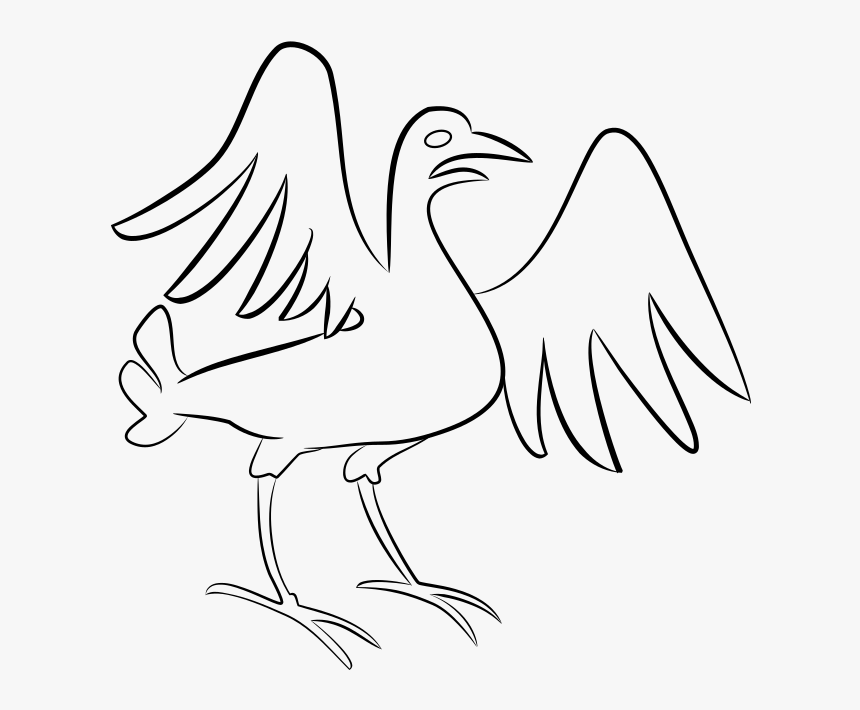 Seabird, HD Png Download