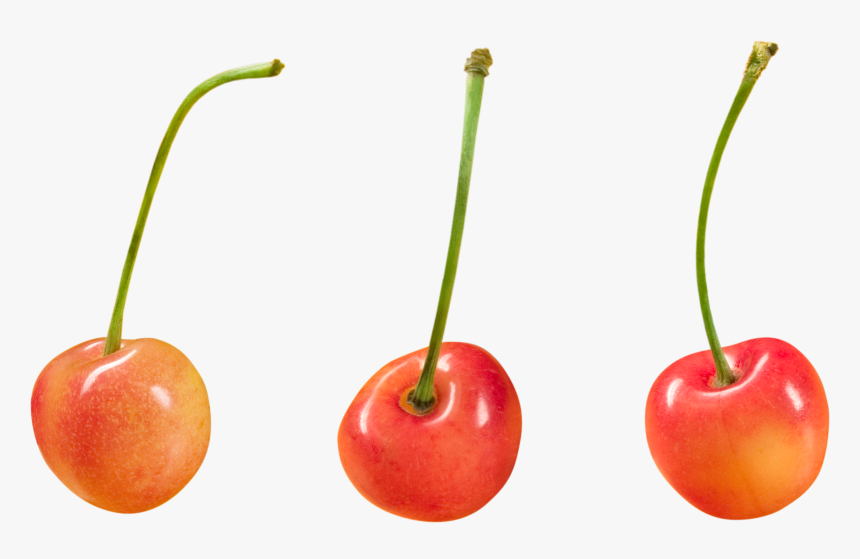 Cherry Png Image - Free Png Hd Images For Commercial Use, Transparent Png