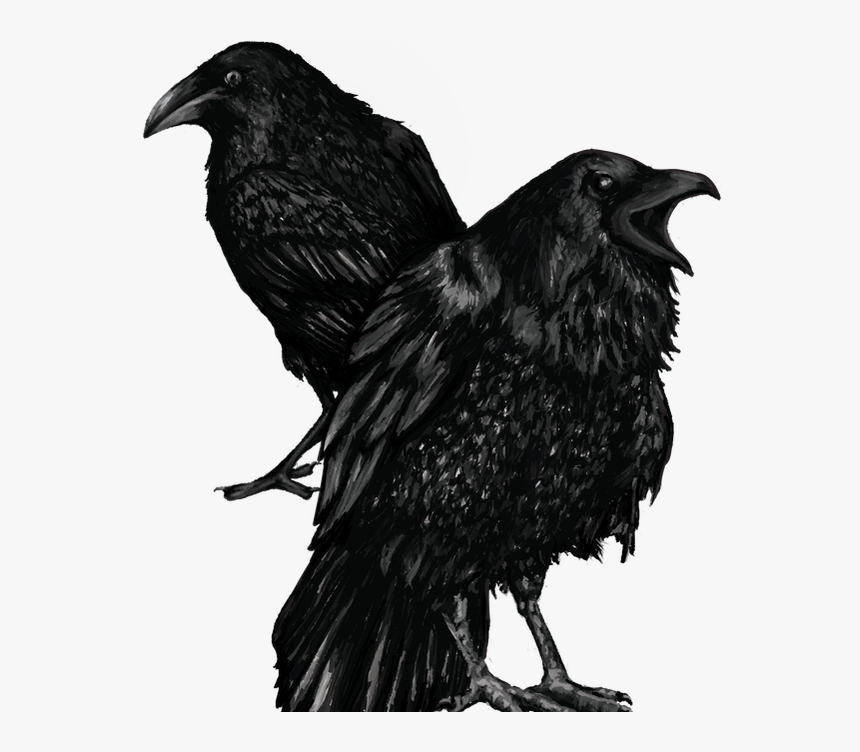 American Crow , Png Download - American Crow, Transparent Png