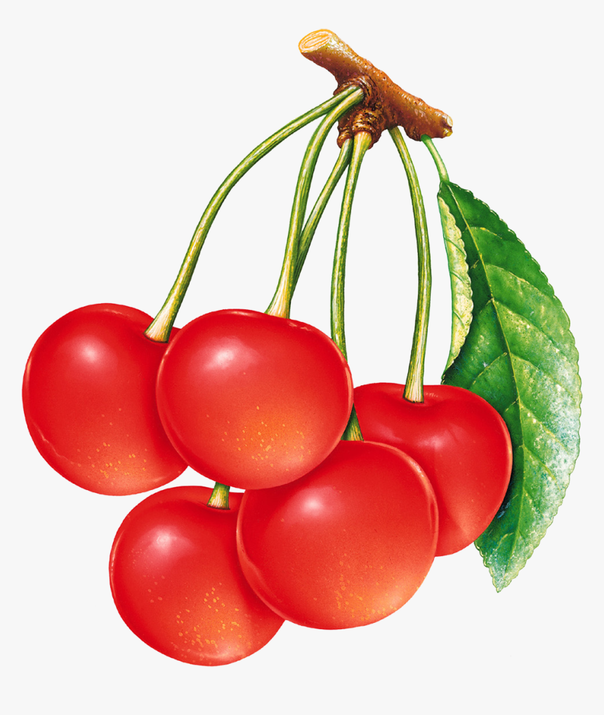 3076 - Red Cherry, HD Png Download