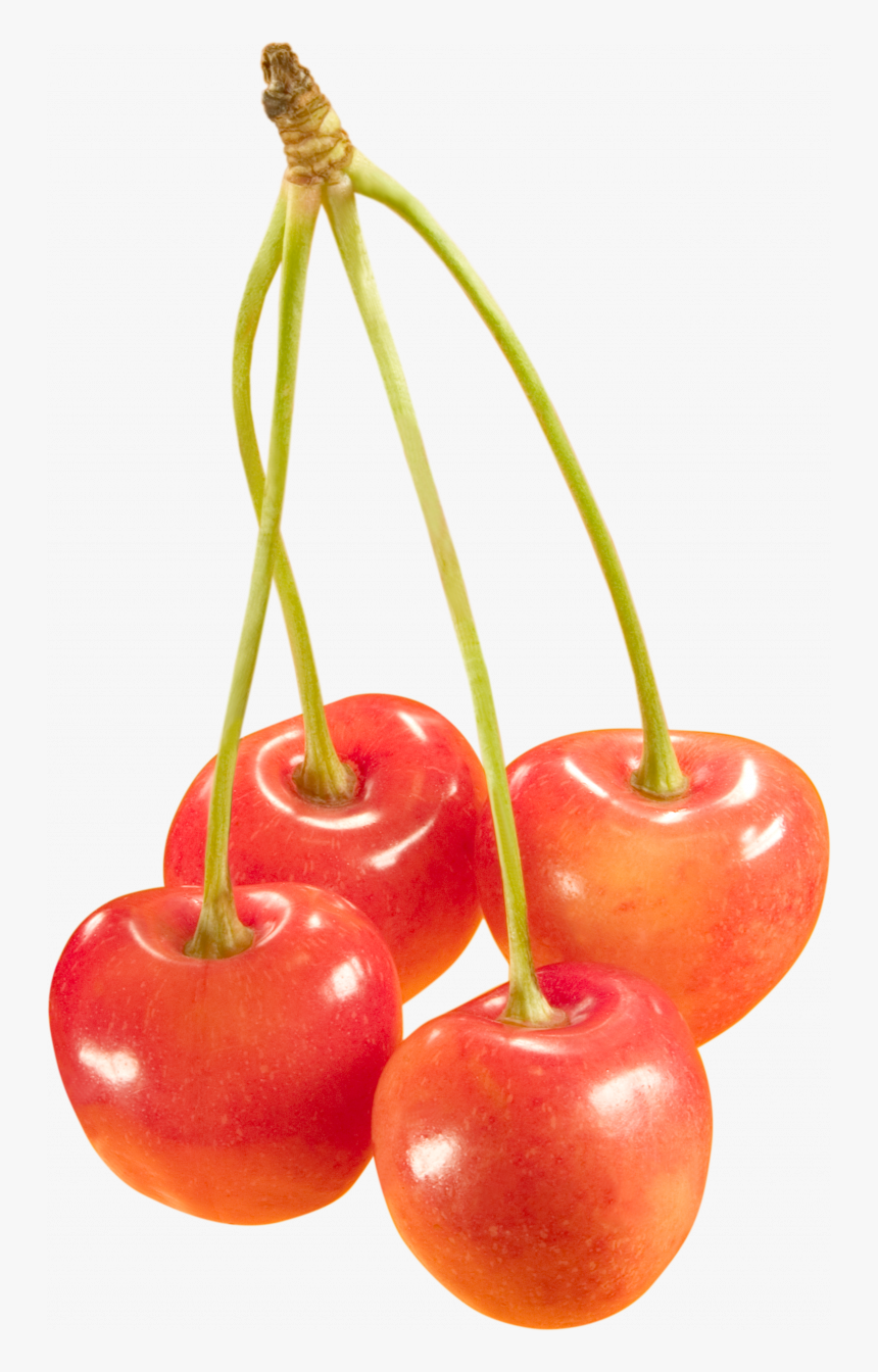 Download For Free Cherry Png Image Without Background - Черешня Пнг, Transparent Png