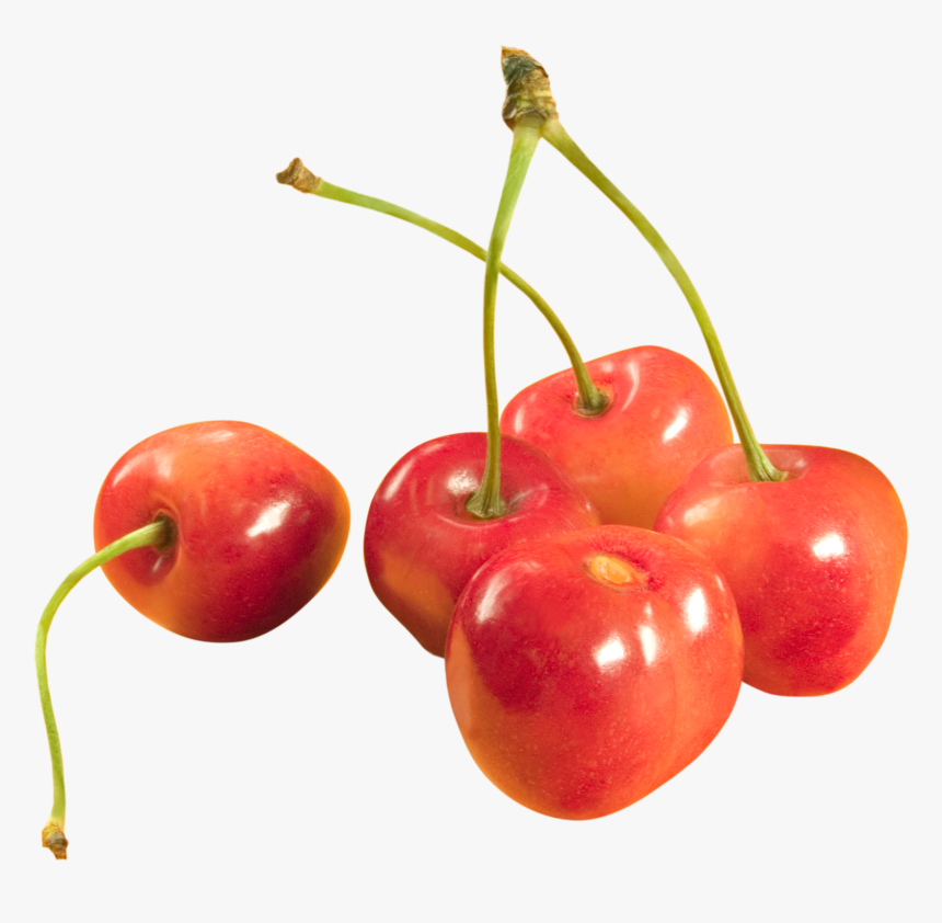3092 - Черешня Пнг, HD Png Download