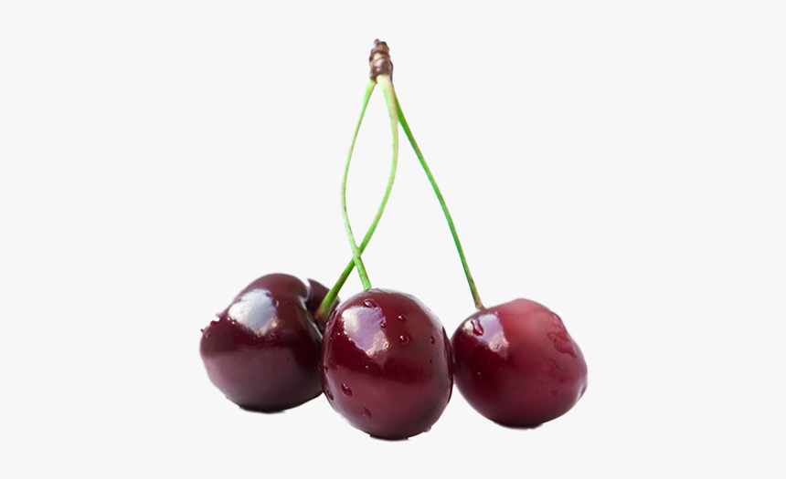 Sweet Cherry - Black Cherry, HD Png Download