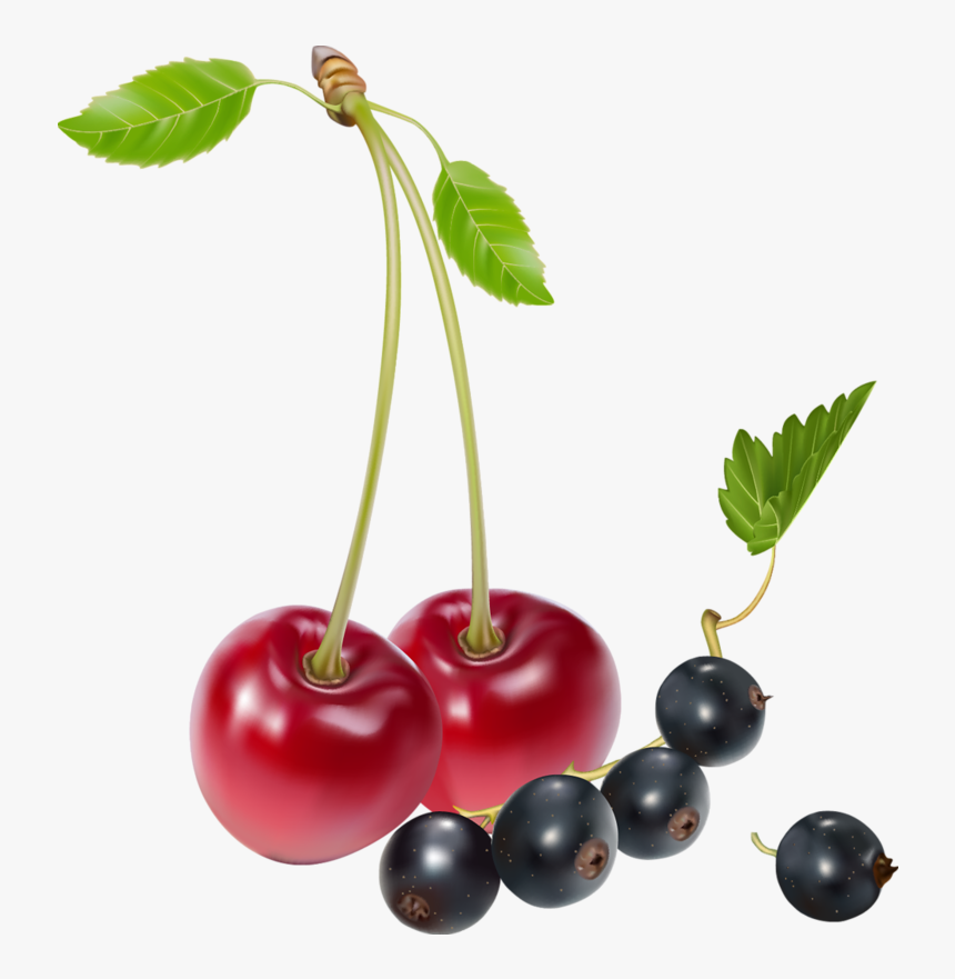 Cherries And Blueberries Png Clipart - Cherries And Blueberries, Transparent Png