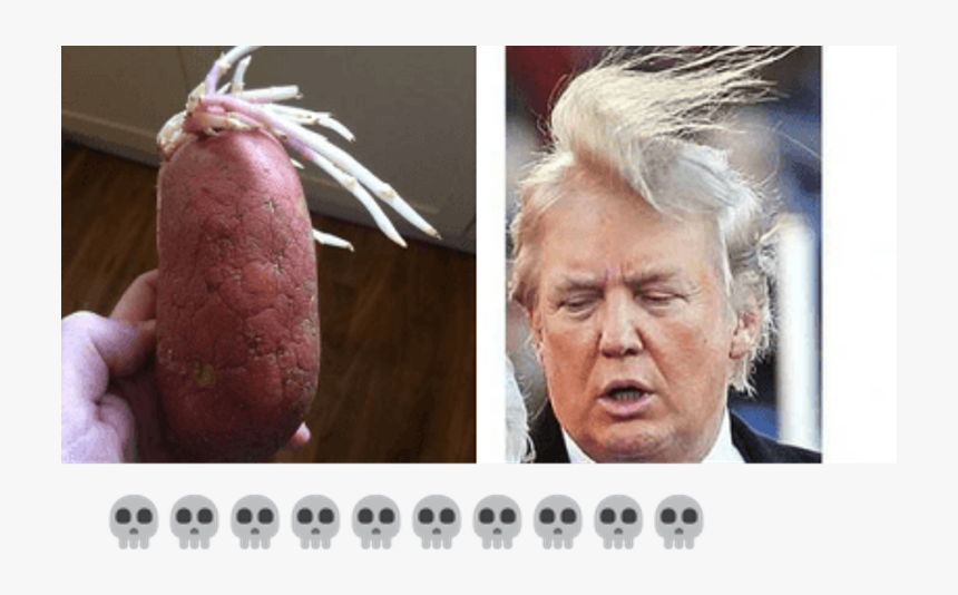 Funny Donald Trump Memes - Donald Trump Wearing Wig, HD Png Download