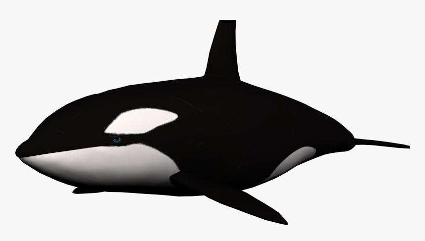 Whale Transparent Background, HD Png Download