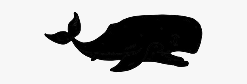 Transparent Whale Png Clipart Free Download - Whale, Png Download