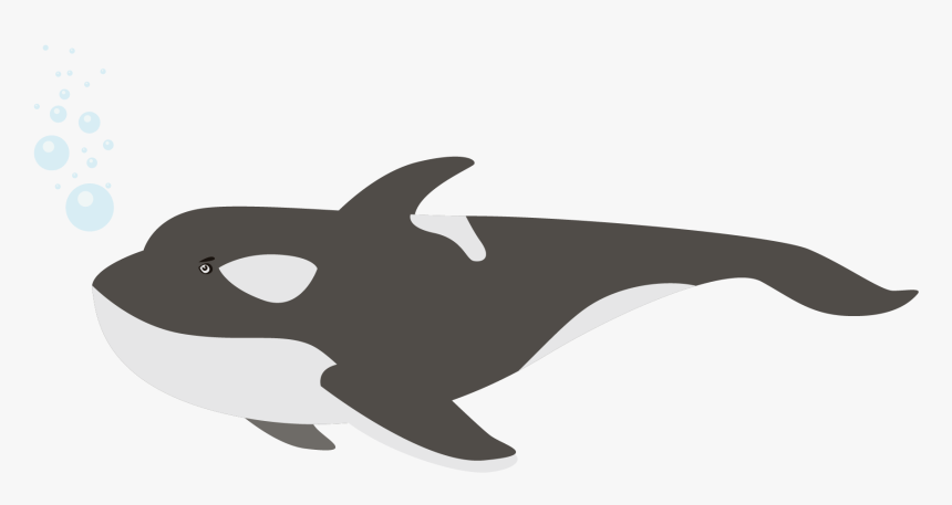 Killer Whale, HD Png Download