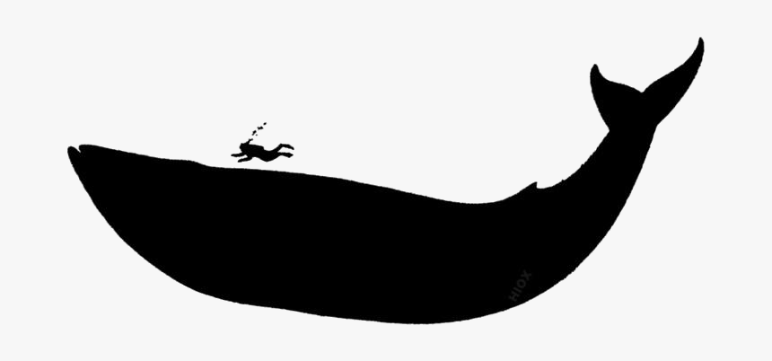 Blue Whale Png Silhouette - Blue Whale, Transparent Png