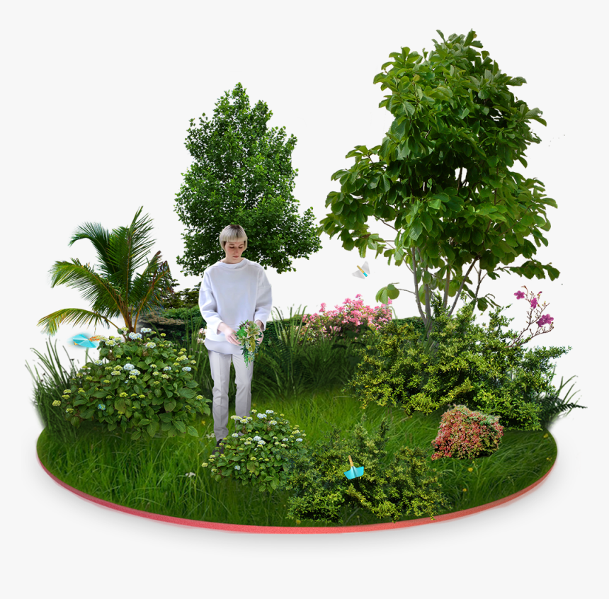 Next Gardens Lucas Teixeira Png Black And White Download - Transparent Guava Tree Png, Png Download