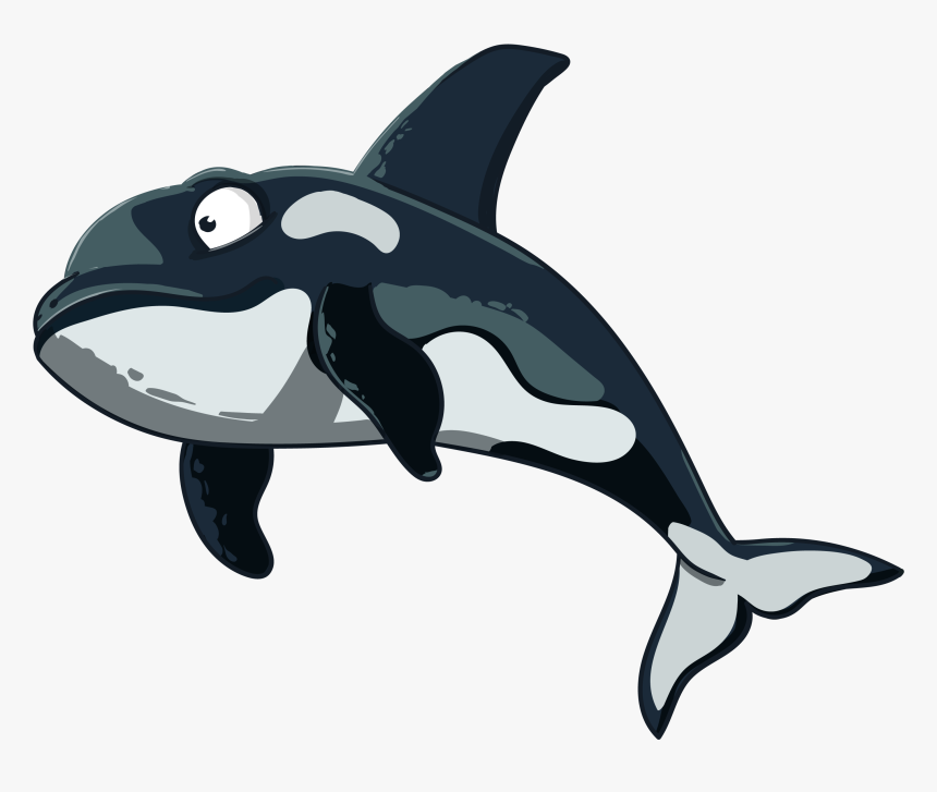 Free Download In Vector - Orca Logo No Background, HD Png Download